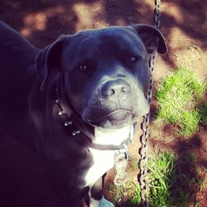 Meet your Posher, Taylor rae